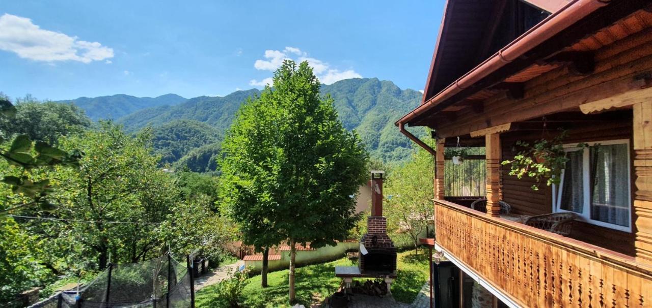 Вилла Casa Colt De Rai Брезой Экстерьер фото