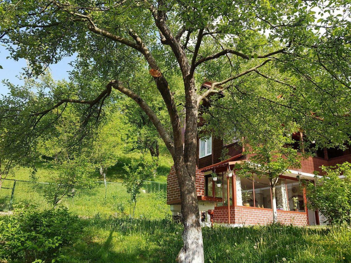 Вилла Casa Colt De Rai Брезой Экстерьер фото