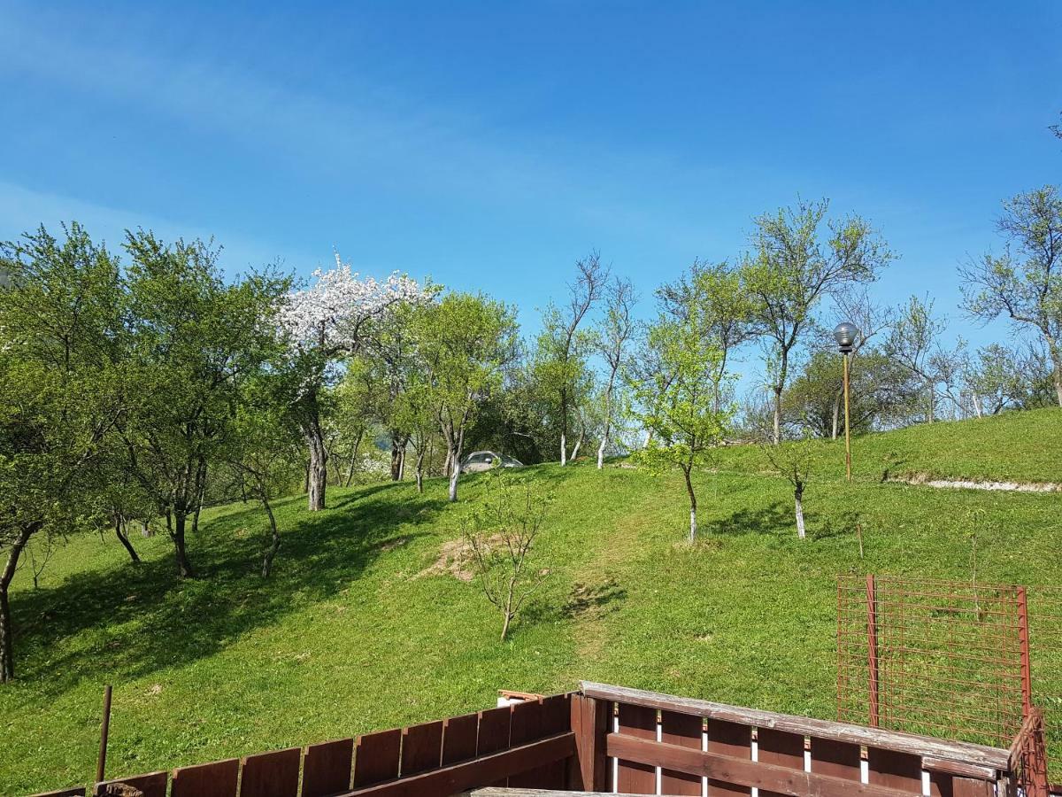 Вилла Casa Colt De Rai Брезой Экстерьер фото